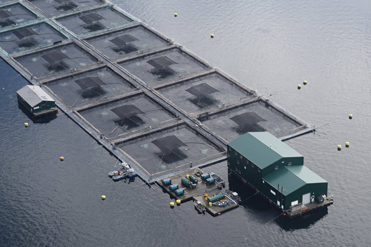 A 2018 file photo shows a fish farm in the Clio Channel northwest of Campbell River. A Federal Court ruling gives the federal government four months to review its policy on piscine orthoreovirus, or PRV.