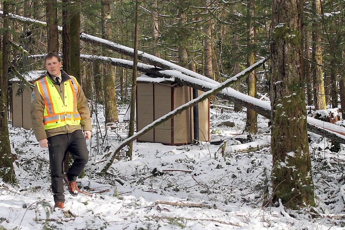 Andy MacDonald of BC Parks shows the significant damage Little Qualicum Falls Park suffered during one of the worst windstorms that hit the region last December. — Michael Briones photo