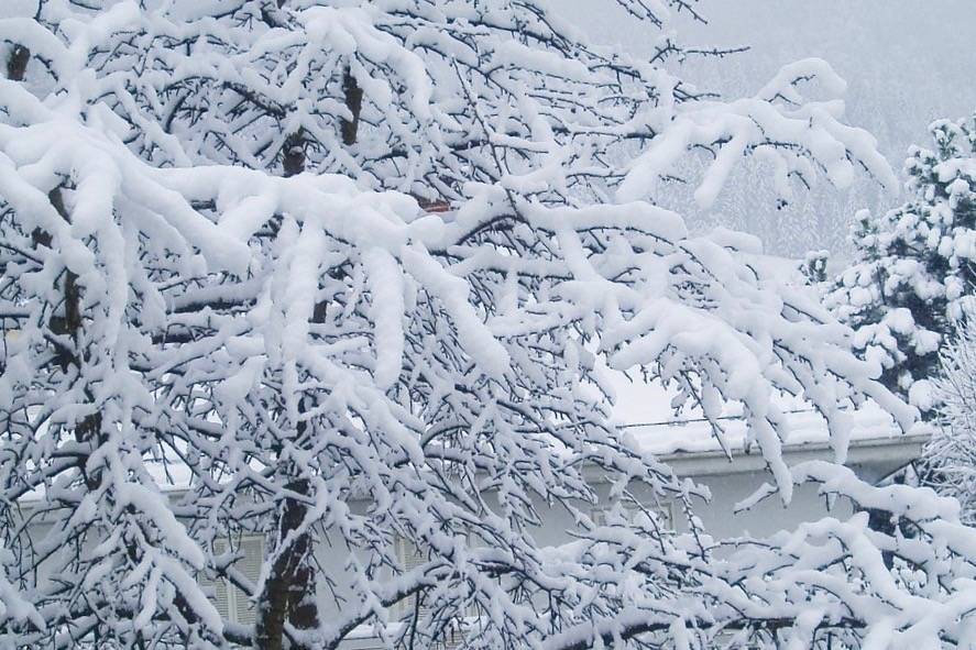 Cowichan, Sooke, Nanaimo, Victoria, Saanich schools remain closed