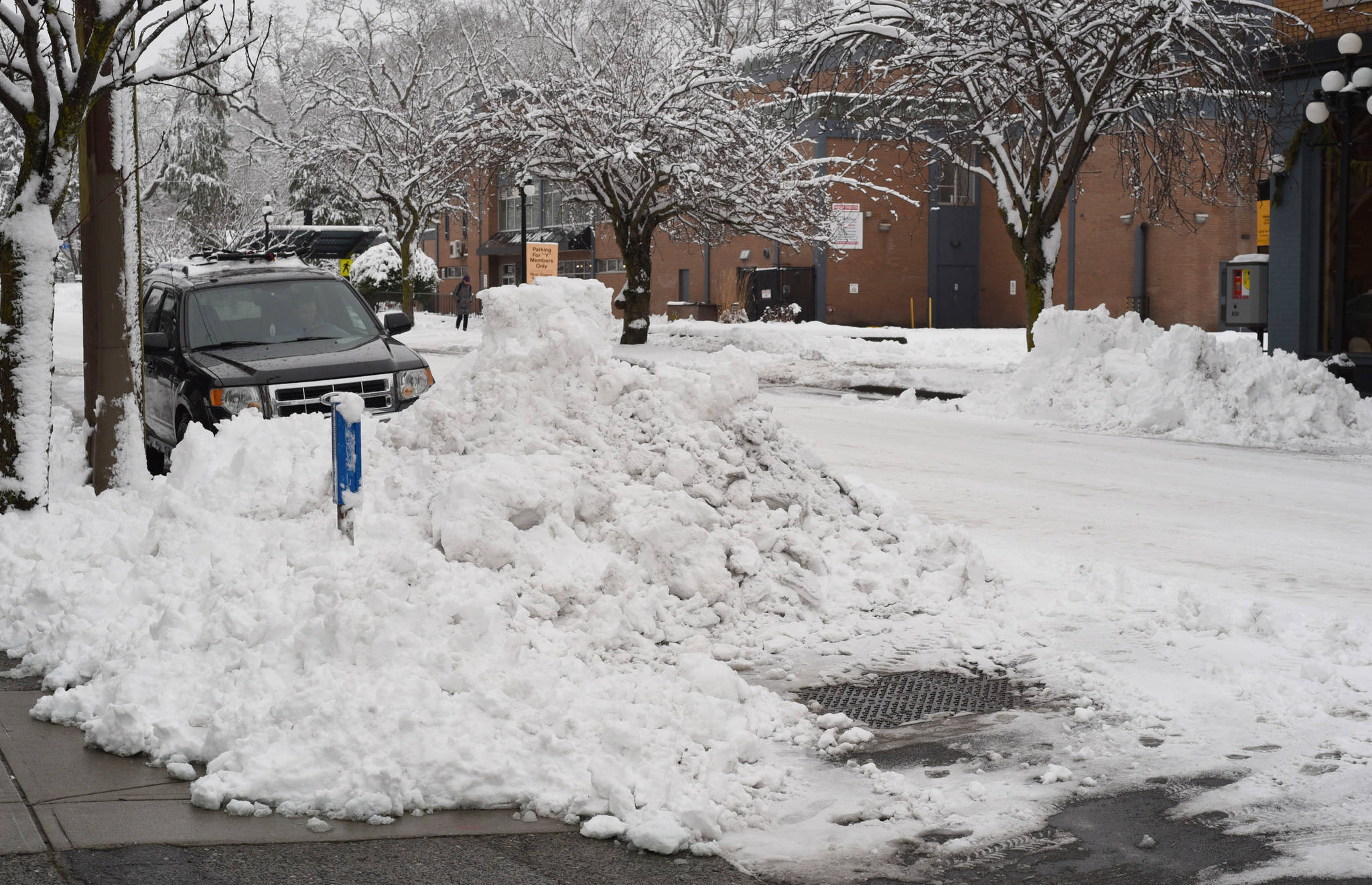 Don Denton/Victoria News February 12, 2019 - Piles of snow left by snow plows line the side of Broughton StreetTuesday morning following a heavy snowfall.
