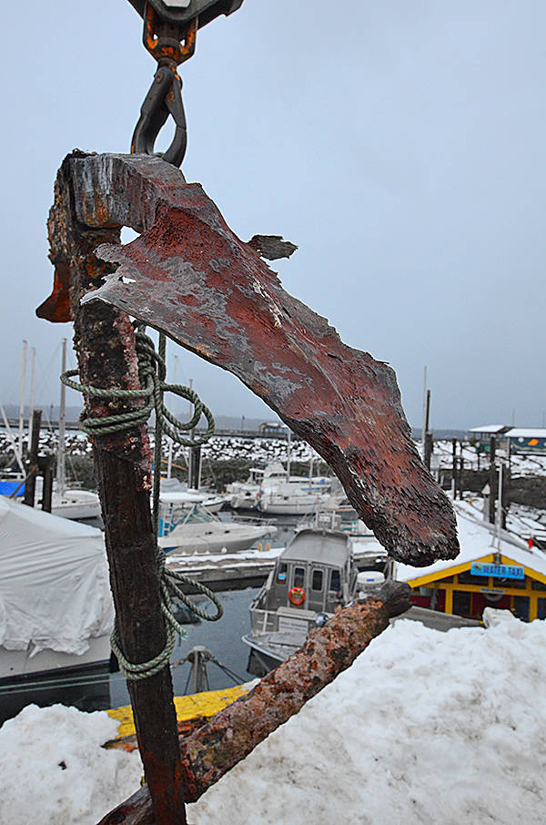 Diver discovers possible historic anchor off Campbell River