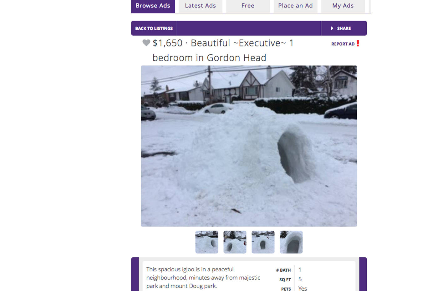 An “executive” one-bedroom in Gordon Head is on offer for $1,650 a month for one person – the creator is not accepting couples, though cats are okay. The beautiful, spacious snow hut is in a peaceful neighbourhood, minutes away from Majestic Park and Mount Doug Park. Utilities not included. (Used.ca screenshot)