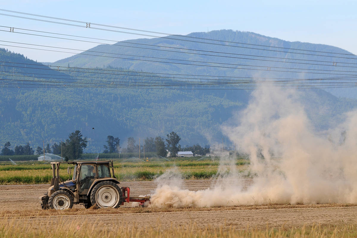 Recent legislation came into effect Feb. 22 to protect B.C. farmland. (File photo)