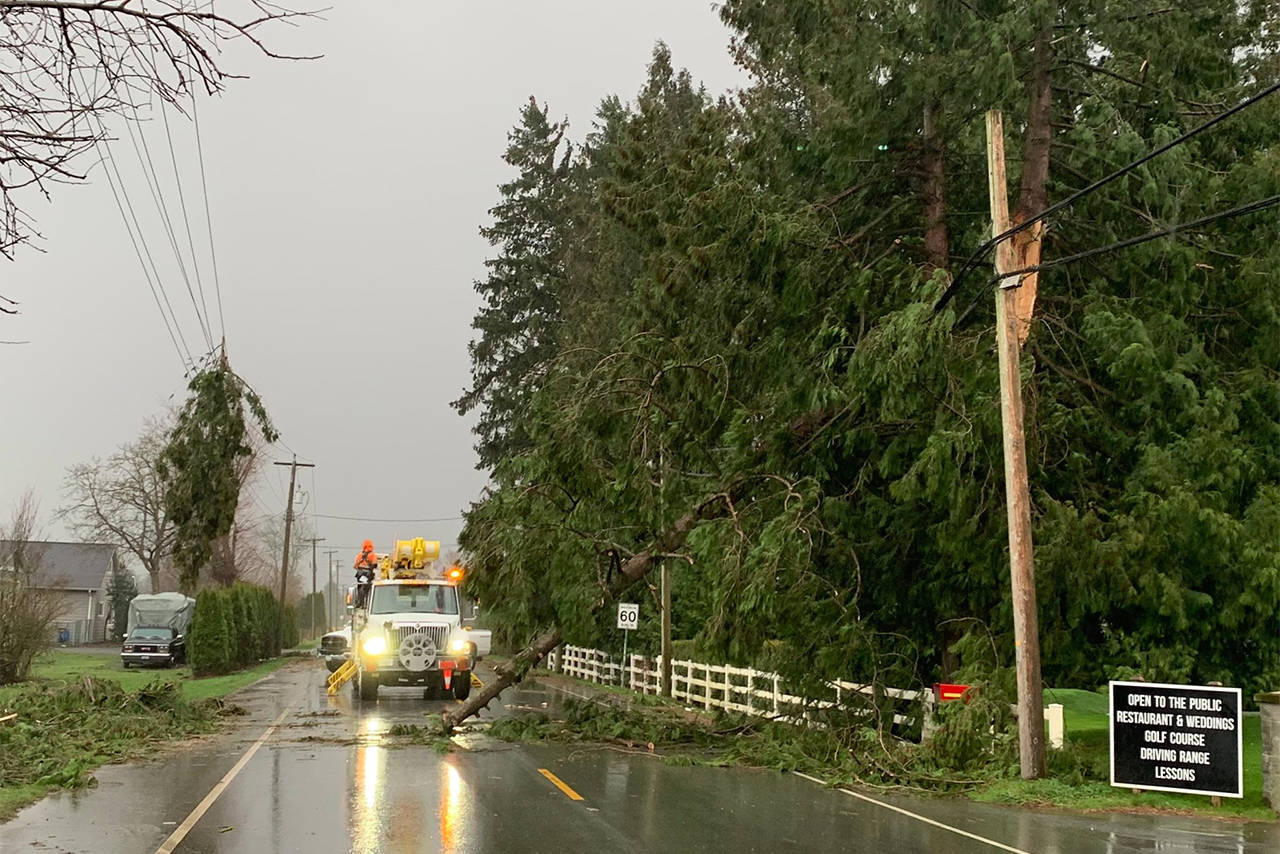 A wind warning issued by Environment Canada calls for wind gusts of up to 90 km/h Monday. (Black Press file photo)