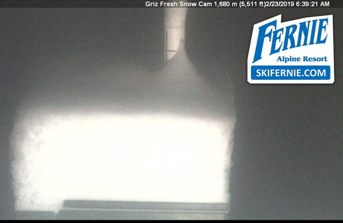 The Griz had completely disappeared by early Saturday after Fernie Alpine Resort received a whopping 55cm of snow. Source: Fernie Alpine Resort