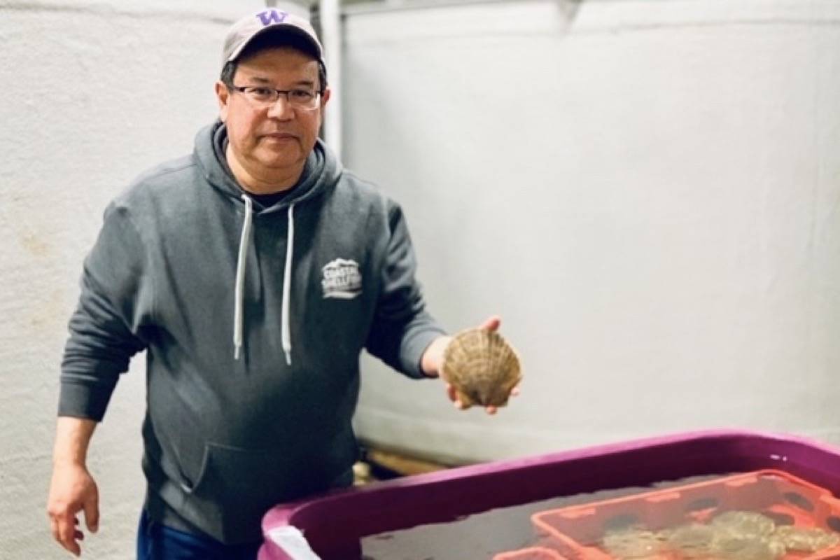 Coastal Shellfish CEO Michael Uehara holds up an adult scallop grown at their hatchery. The First Nations-owned company acquired their shellfish processing license this week. (Karissa Gall/The Northern View)