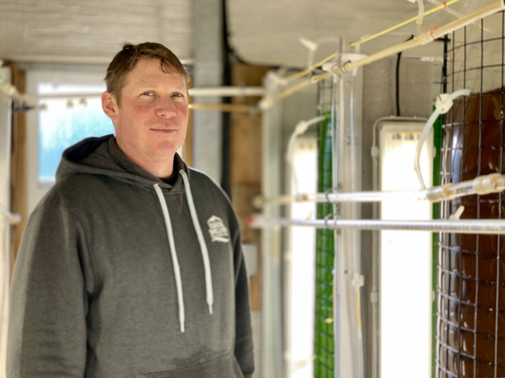 Coastal hatchery manager Provan Crump stands amidst tanks with different strands of house-grown algae in their greenhouse. The algae “microbrewery” is the “heart of the operation,” he says. (Karissa Gall/The Northern View)