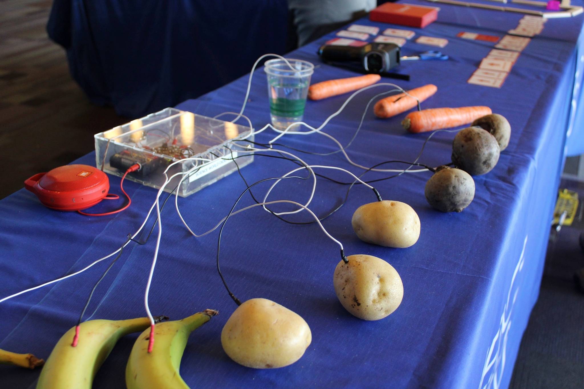 The Proto Ototo, a demonstration of capacitance with musical fruit was on display at the Science World booth at the 2019 #BCTECHSummit. By touching the assortment of fruits and vegetables, a signal is sent to play a different musical note (Photo by Kieran O’Connor/Black Press Media).