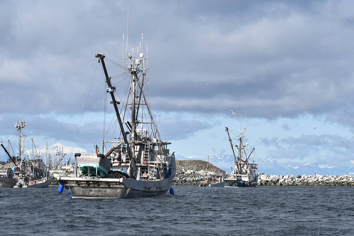 VIDEO: Opponents want federal government to shut down roe herring fishery