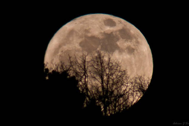 The first full moon in March is called a “full worm super moon.” (Adrian J. Scott photo/Twitter)