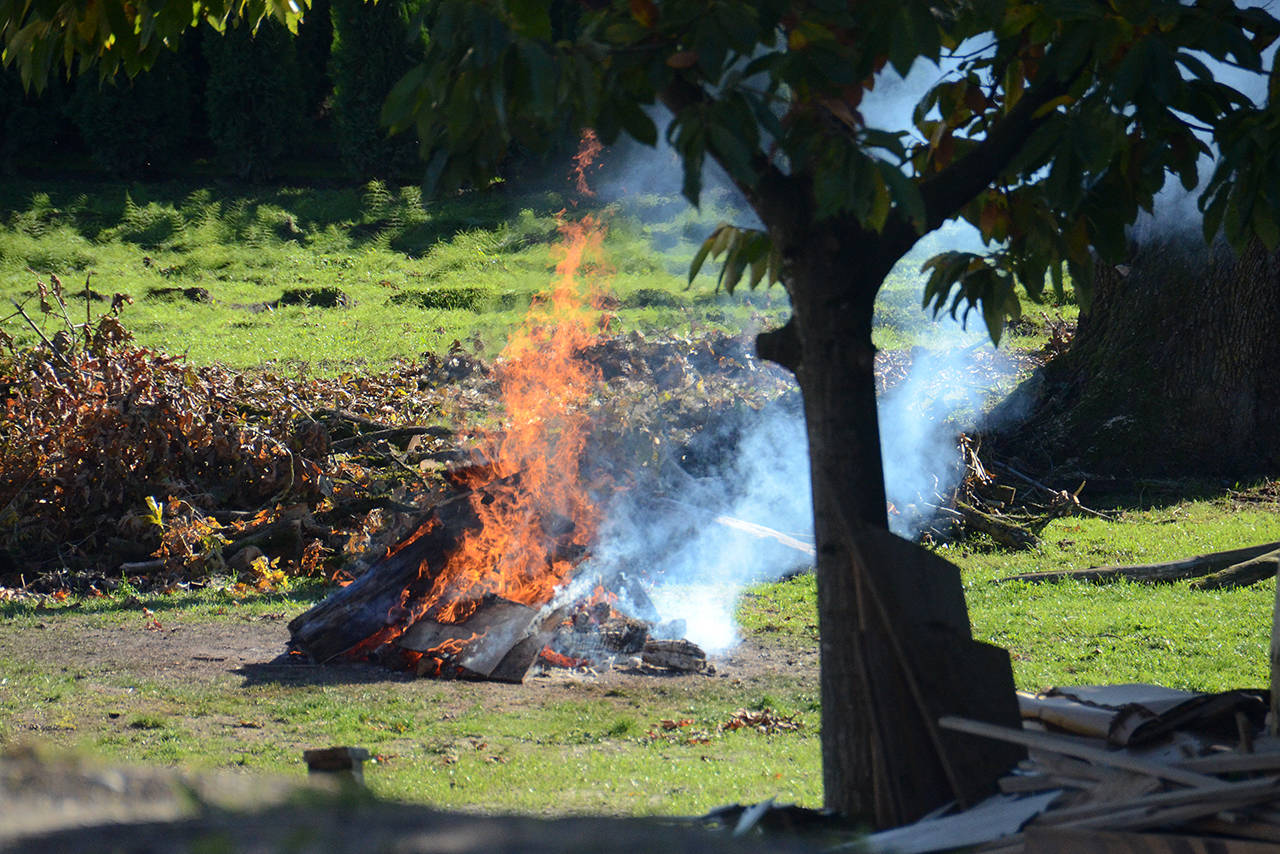 FILE – Backyard burning in Chilliwack, B.C. (Paul Henderson/ The Progress)