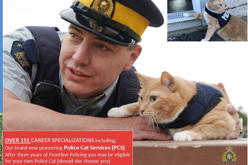 Police Cat Services: The RCMP’s purrfect way to fight crime
