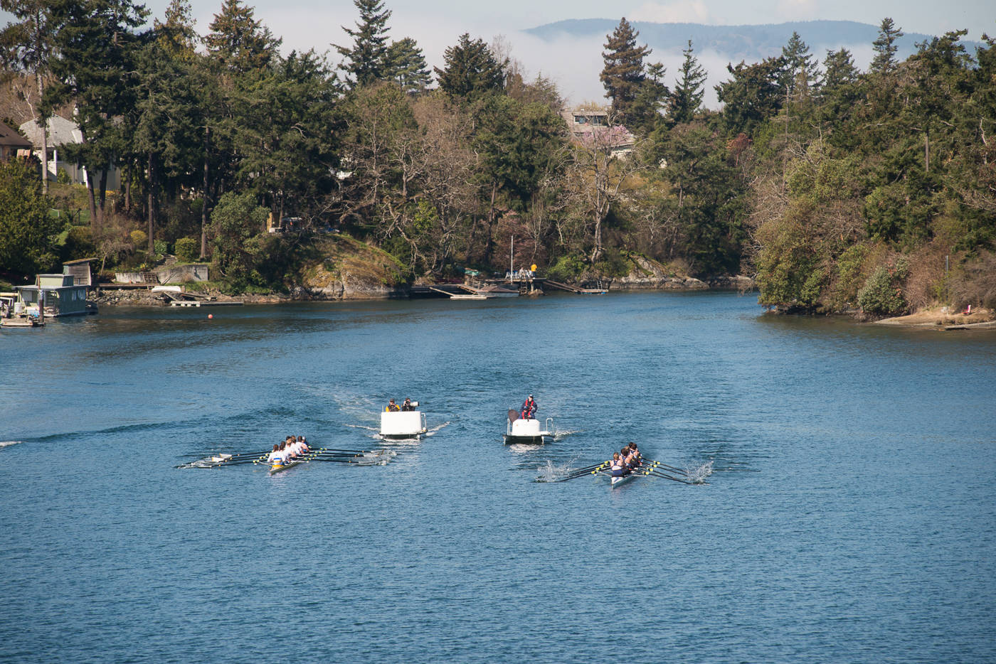 UVic and UBC Women’s Varsity 8’s race down the Gorge Waterway towards Victoria’s Inner Harbour during the the Brown Cup race March 30. (Keri Coles/News staff)