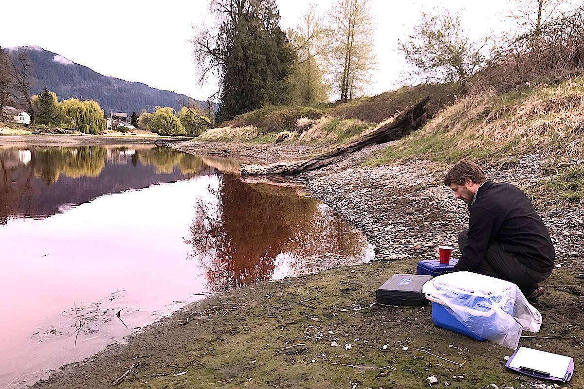 City of Chilliwack staffer Steve Clegg tests the slough water at the site near a greenhouse operation. (Jennifer Feinberg/ The Progress)