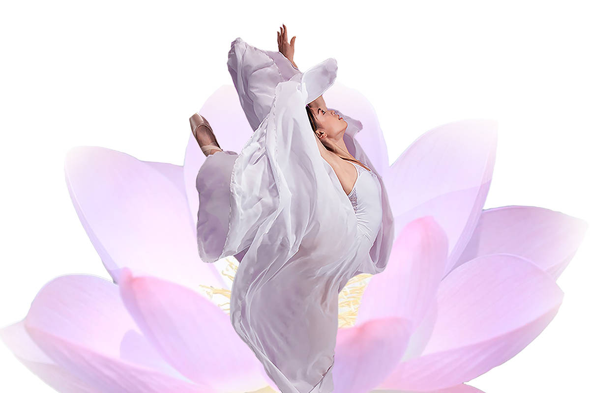 Elegant waterfront gala to launch new Ballet Victoria season