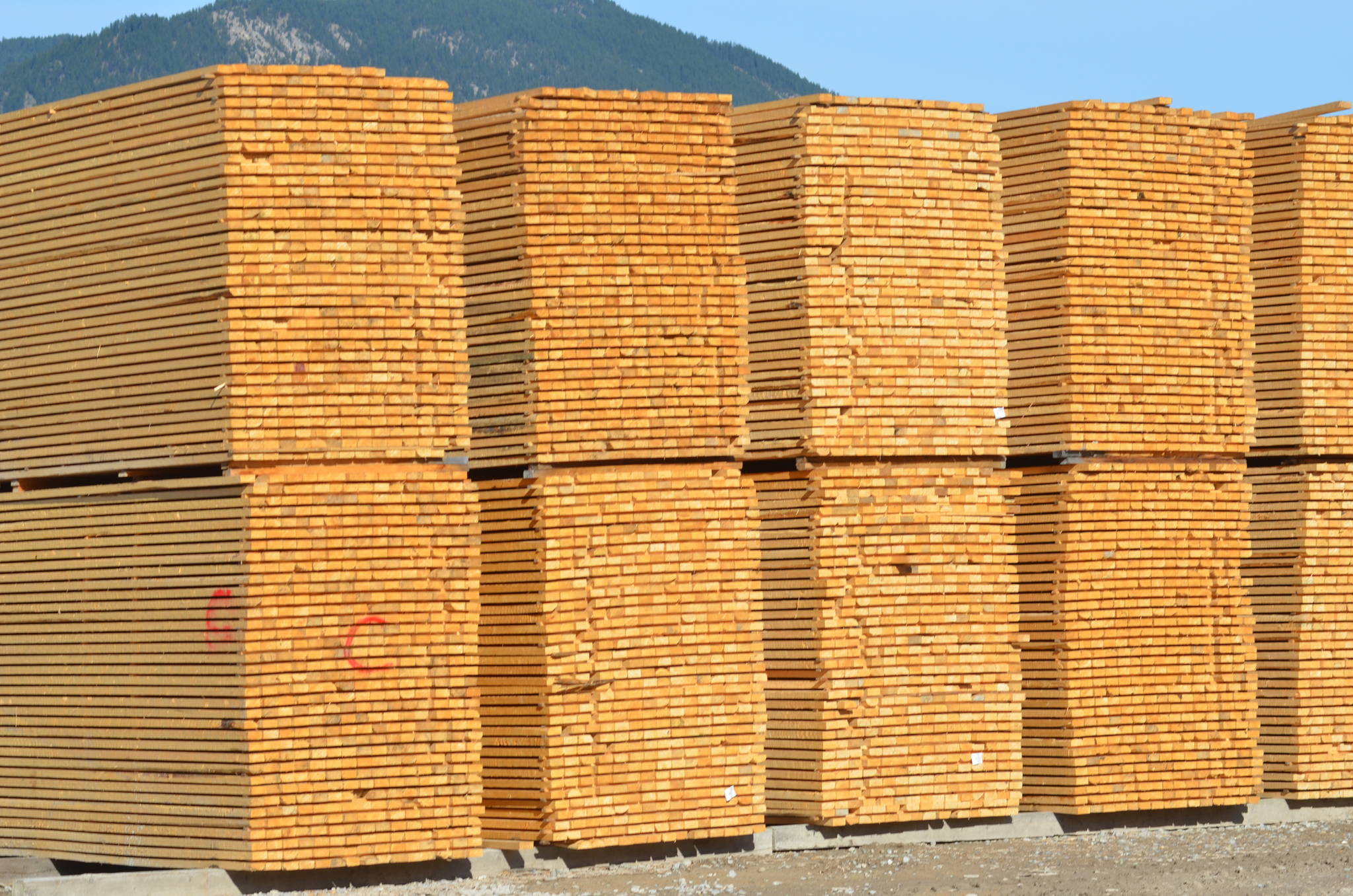 Canfor temporarily shutting down lumber mills across B.C.