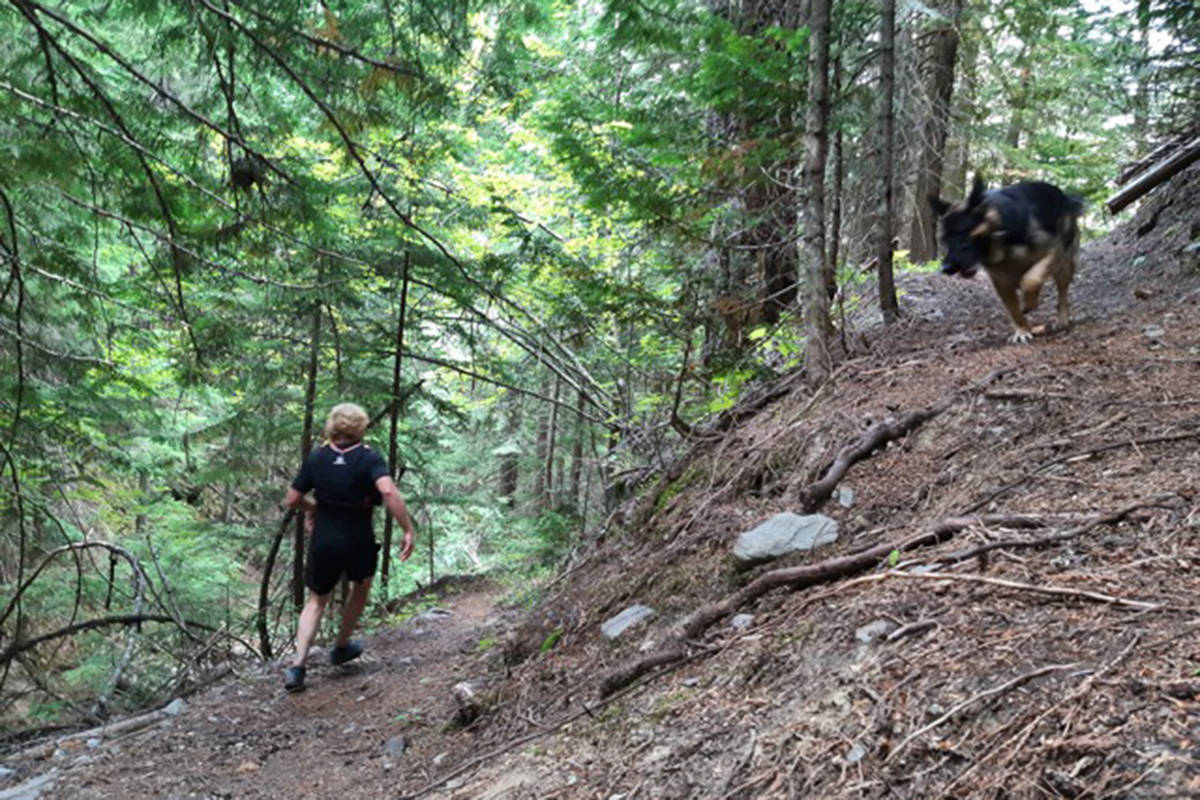 For six years, Andrew Stolz ran on mountain trails in the company of his beloved German Shepherd, Topaz. (Photo submitted)