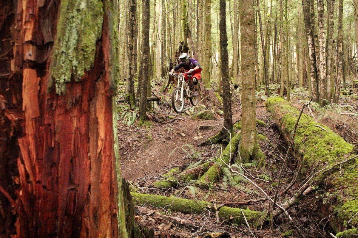Fast-pedalling mountain bikers may encounter e-powered versions on the trails. (THE NEWS/files)
