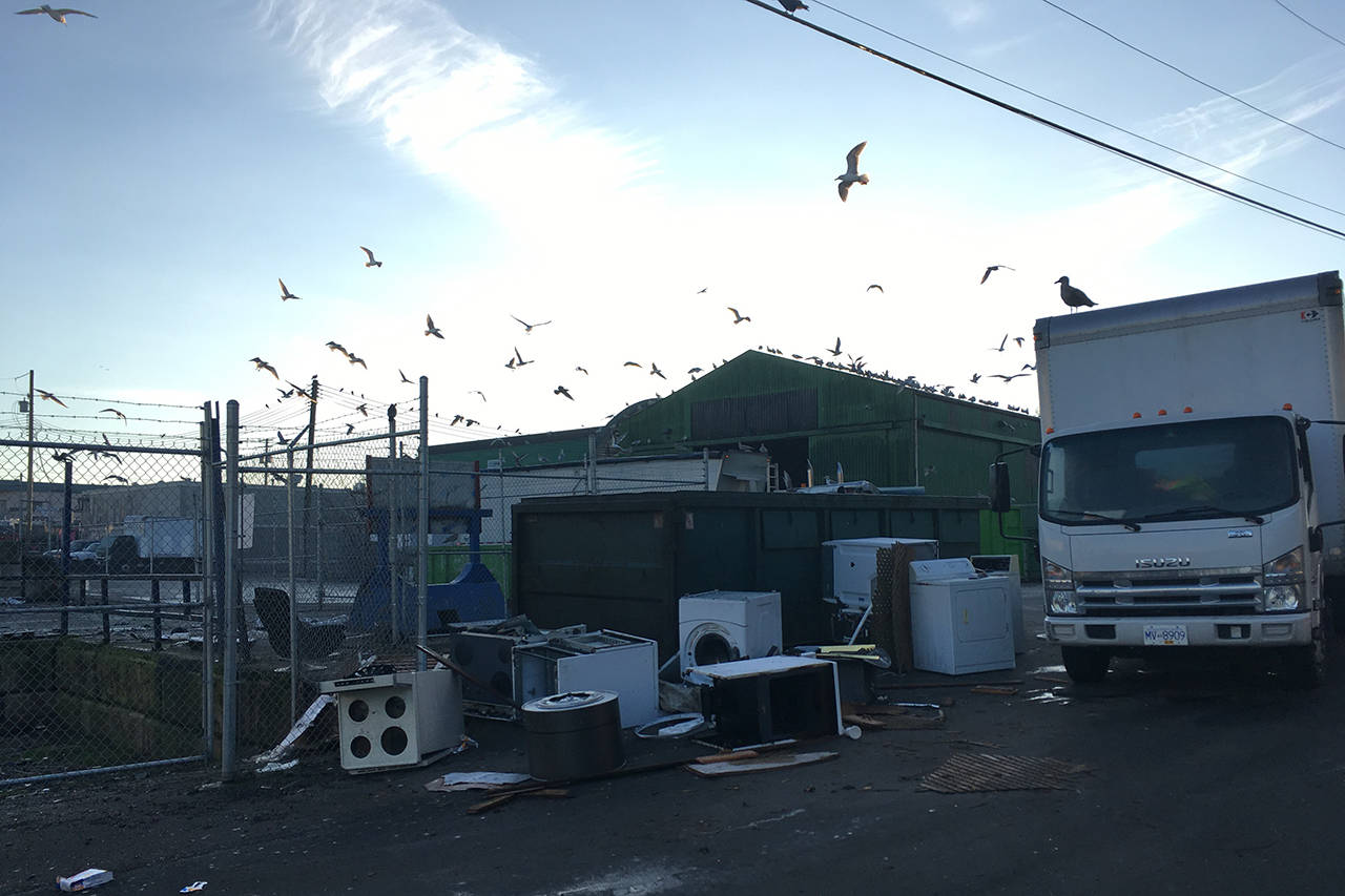 Household and industrial waste is consistently left across the street from Point Ellice House (File contributed/Kelly Black)