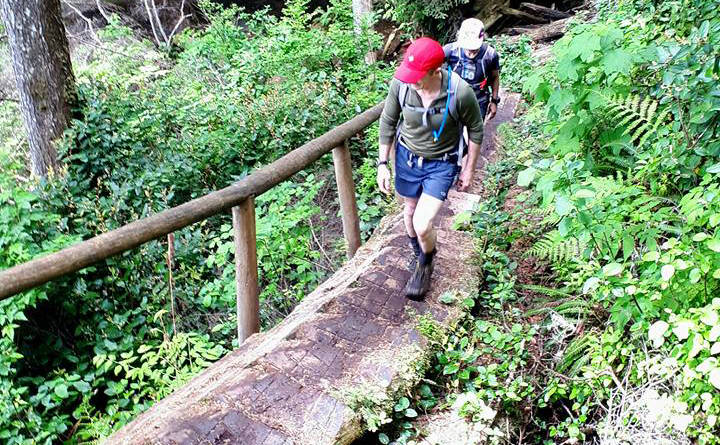A popular section of the Juan de Fuca Marine Trail is closed until the end of June for repairs and maintenance. (Sooke News Mirror)