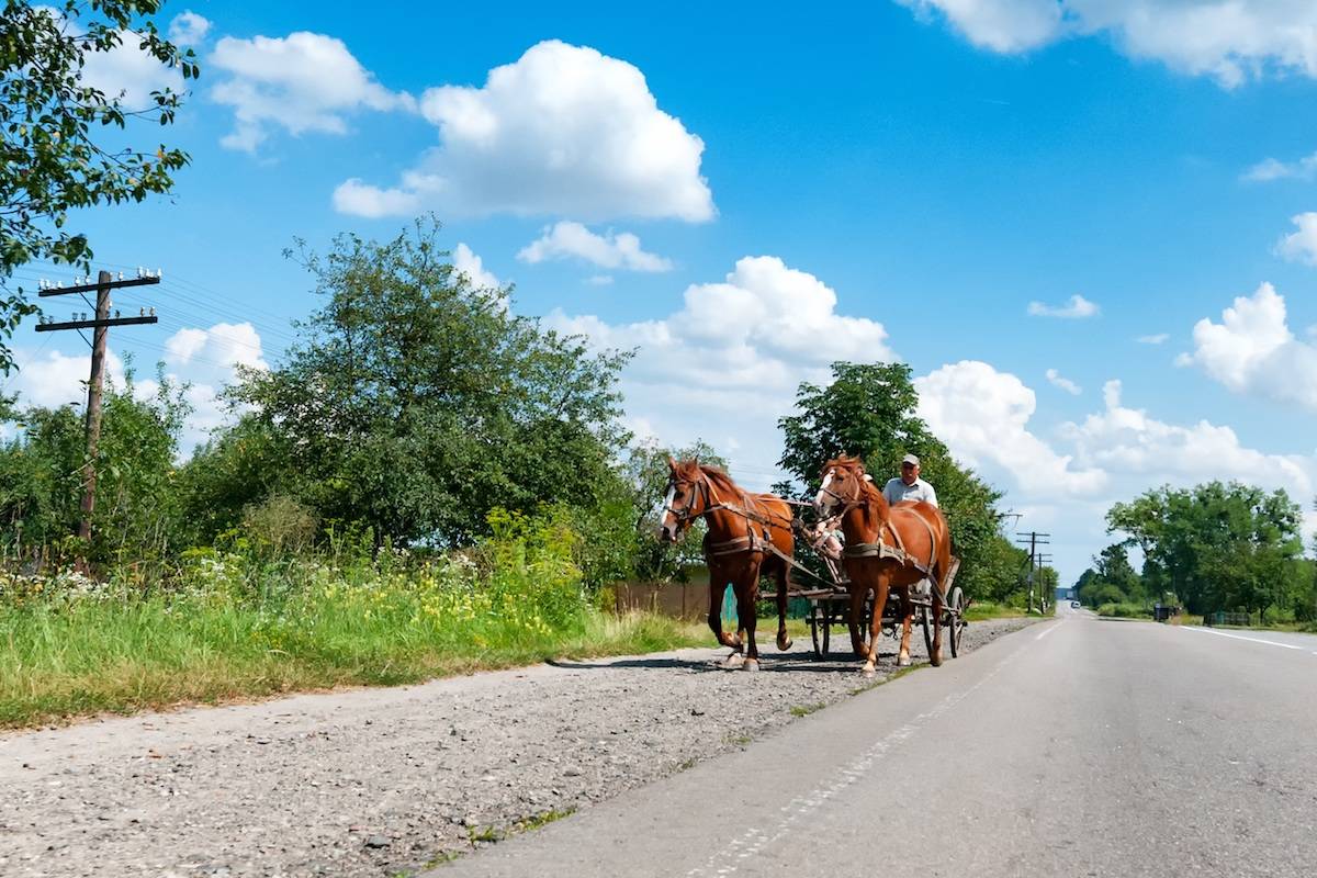 Drivers are being reminded to give horses and their riders and a wide berth when encountering them on the road. (Pixabay File)