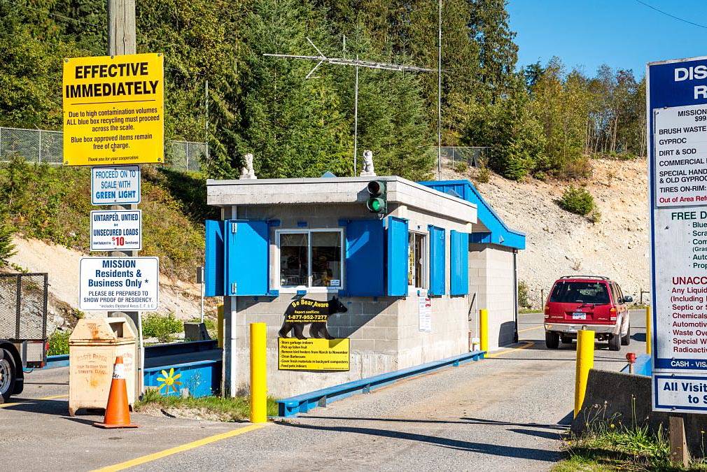 Woman traumatized after seeing bear carcass disposed of at B.C. landfill