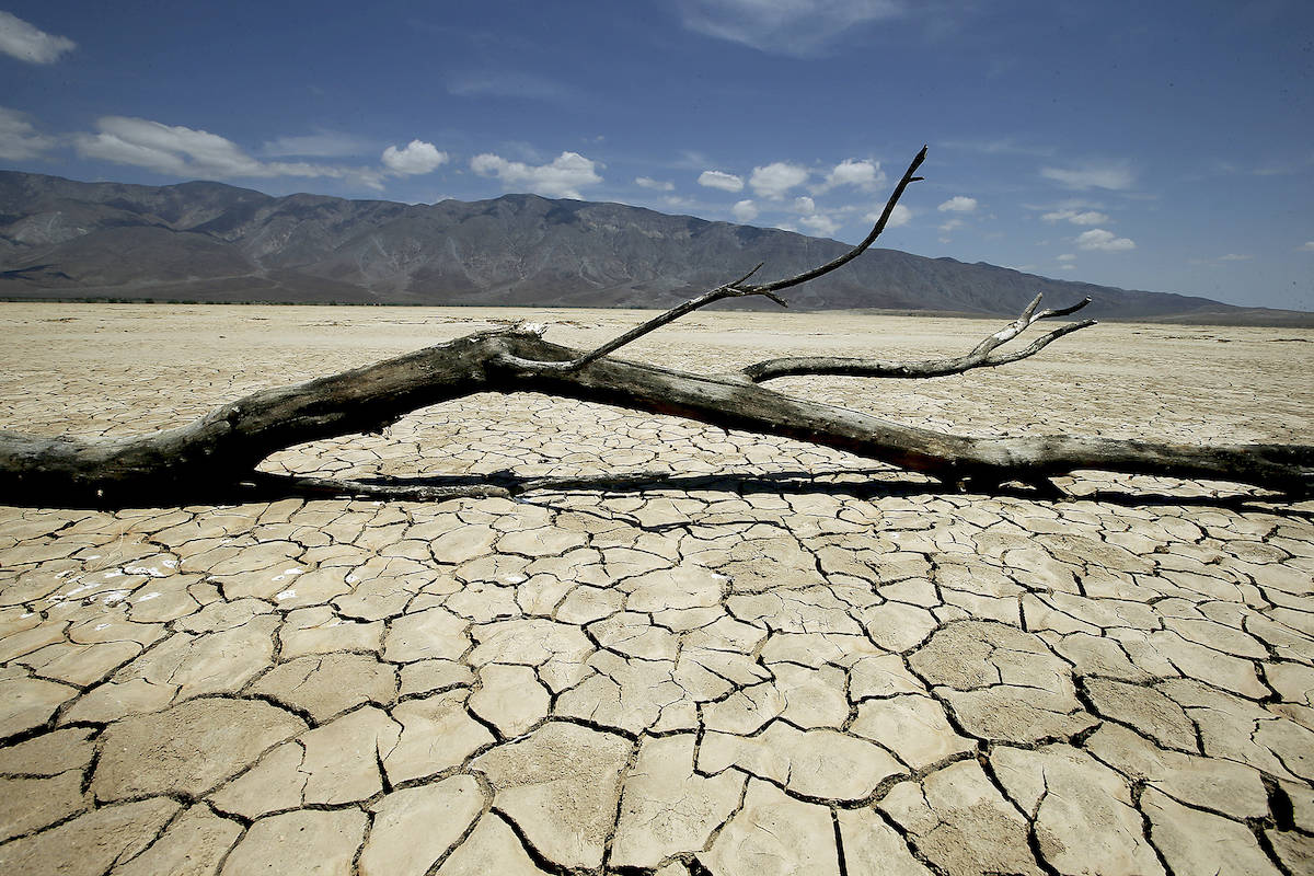Carbon dioxide is more abundant in the atmosphere than at any other point in humanity’s history. (Luis Sinco/TNS)