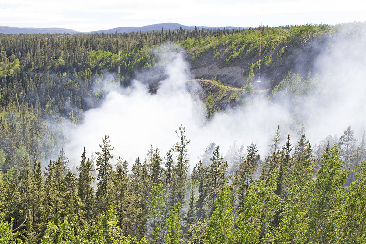 Smoke rises from a plane crash in a forested area near Robert Service Campground the evening of May 27 in Whitehorse. (John Hopkins-Hill/Yukon News)