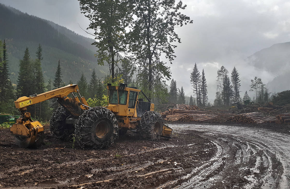 How should B.C.’s private forests be managed?