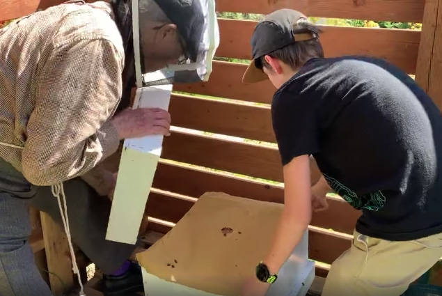 Jack Gray, 13, (in protective clothing) and his 99-year-old great-grandfather Alan Graham install a bee hive in the boy’s Rossland backyard two weeks ago. Photo courtesy Graham family