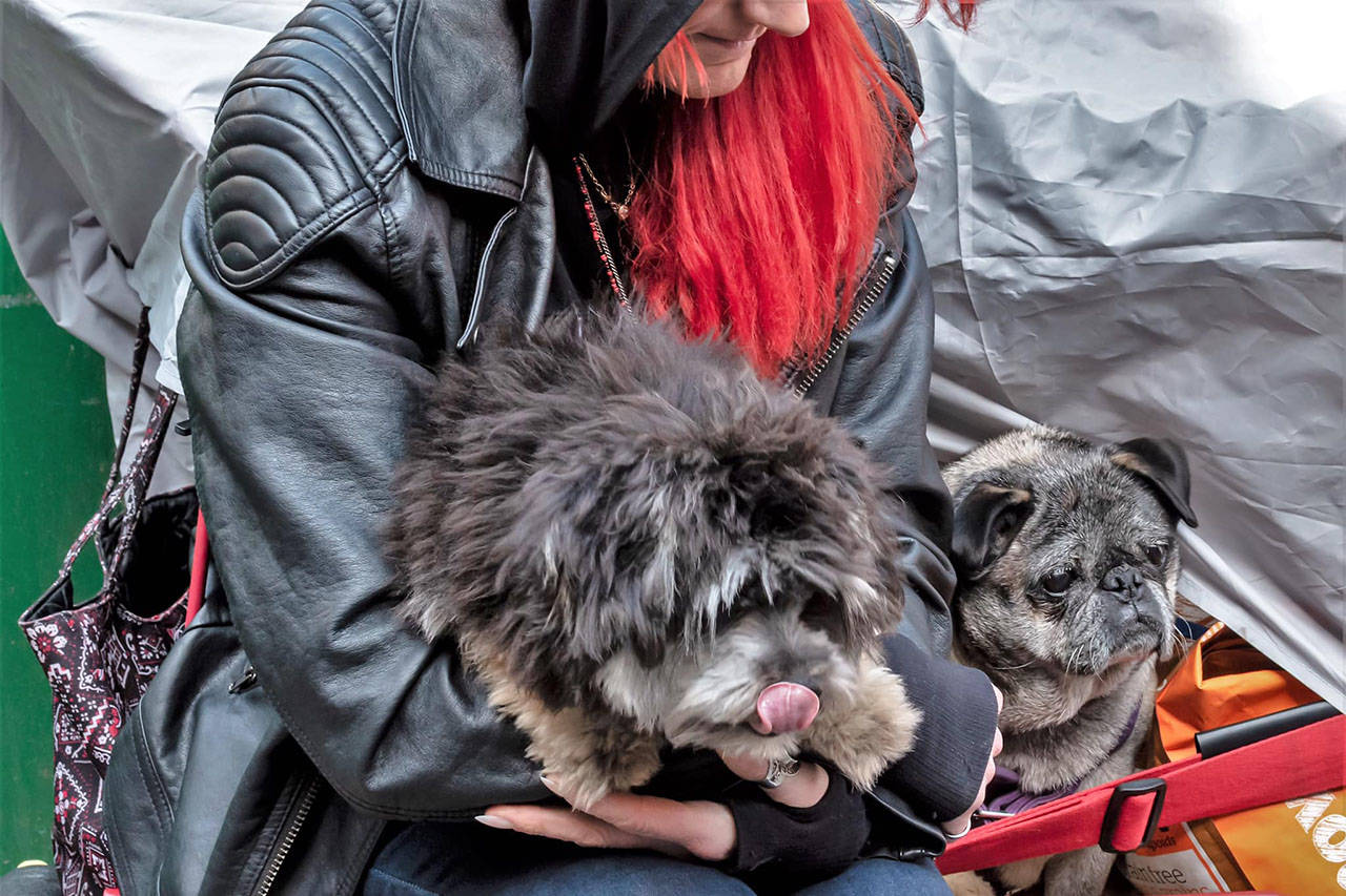 Every month for 10 years, volunteers with Vets for Pets have treated animals of low income, transient and homeless people at Our Place. (File submitted/ Richard Leon Gauthier Photography)