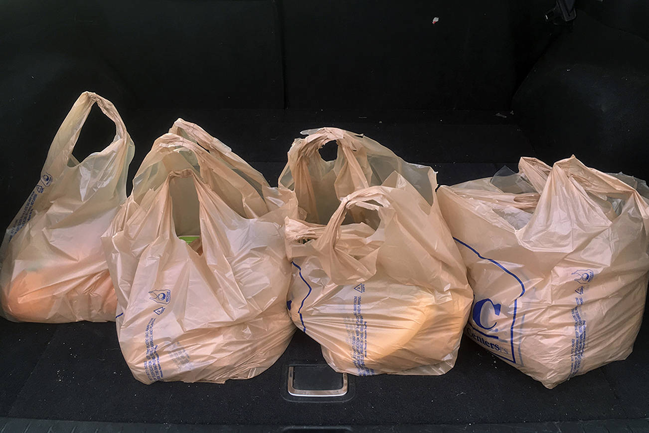 Comox is the latest municipality in the Comox Valley to ban single-use plastics. File photo