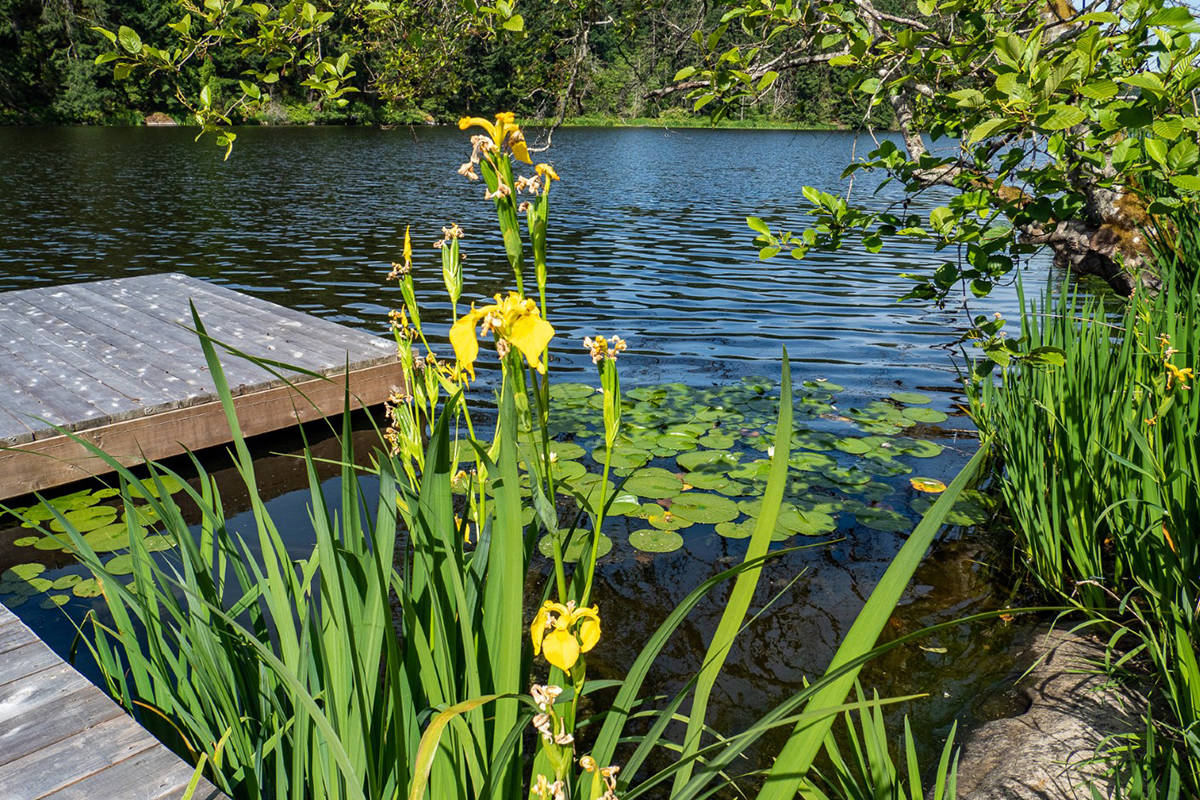 Wildwood Ecoforest: the heart of ecoforestry