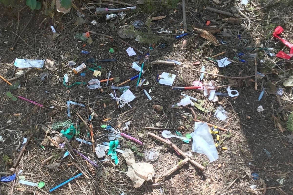 A resident stumbled upon needles left in a secluded area near Parksville’s recycling depot in May. - File photo
