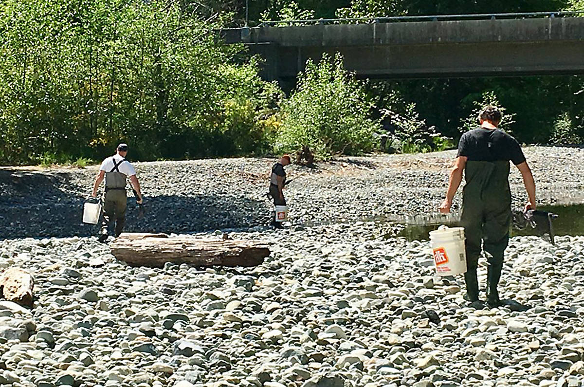 49 Cowichan groups urge local governments to declare climate emergency