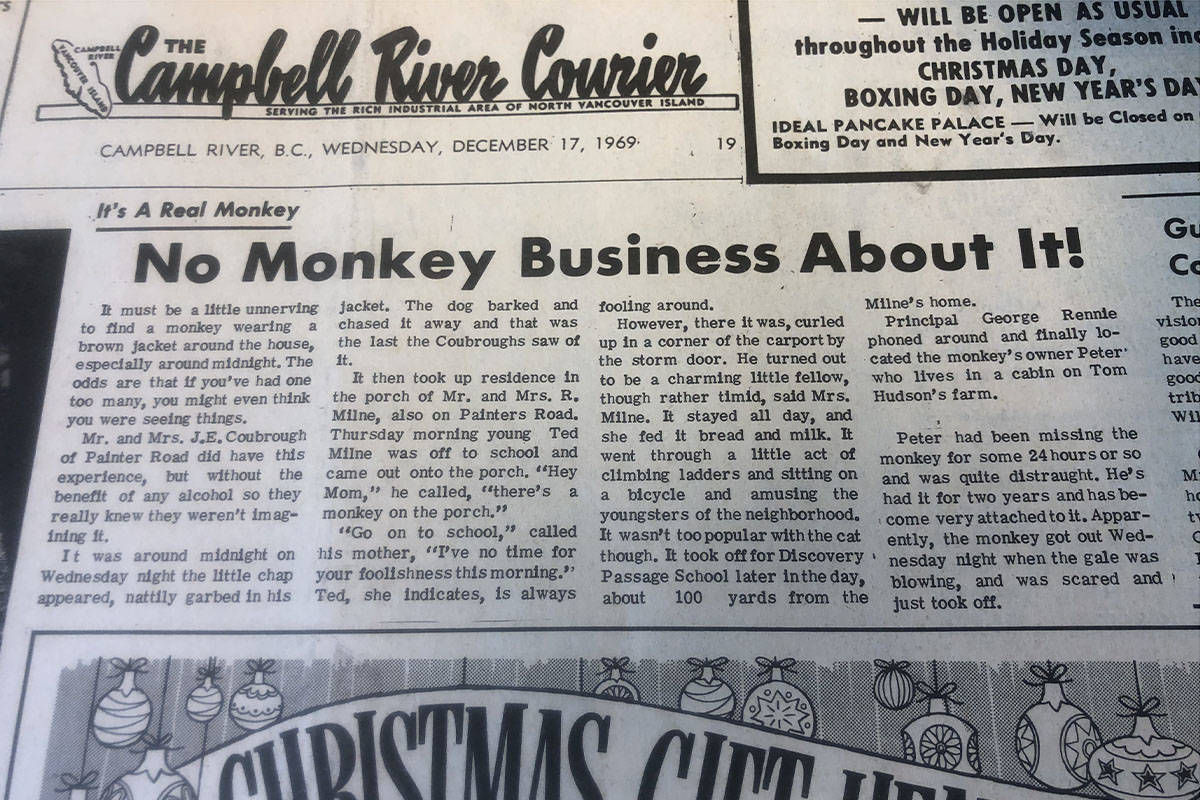 An article published Dec. 17 1969 in the now-defunct Campbell River Courier describes the escapades of a ‘charming but timid’ monkey wearing a brown jacket. Image courtesy Museum at Campbell River
