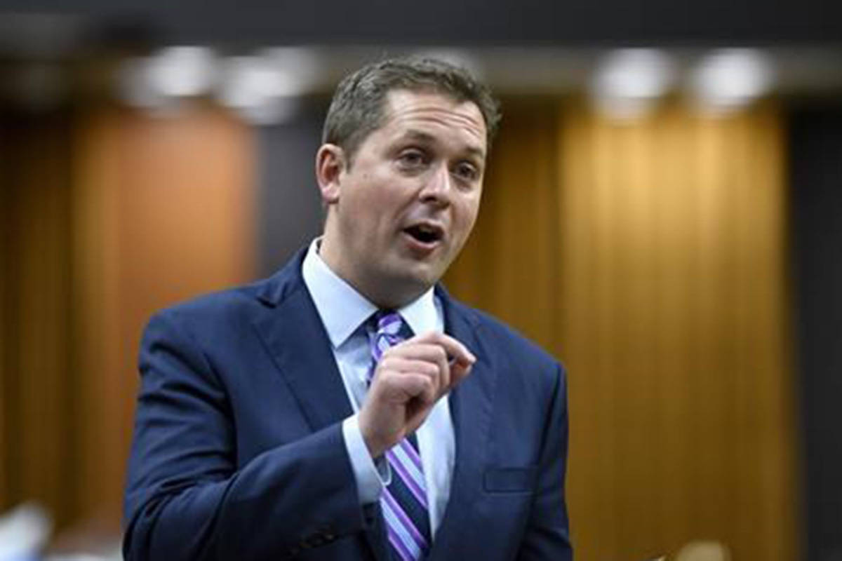 Conservative leader Andrew Scheer rises during Question Period in the House of Commons on Parliament Hill in Ottawa on Monday, June 3, 2019. Federal Conservative Leader Andrew Scheer says there is no place in society for comments such as the ones U.S. President Donald Trump has made about four Democratic congresswomen. THE CANADIAN PRESS/Justin Tang
