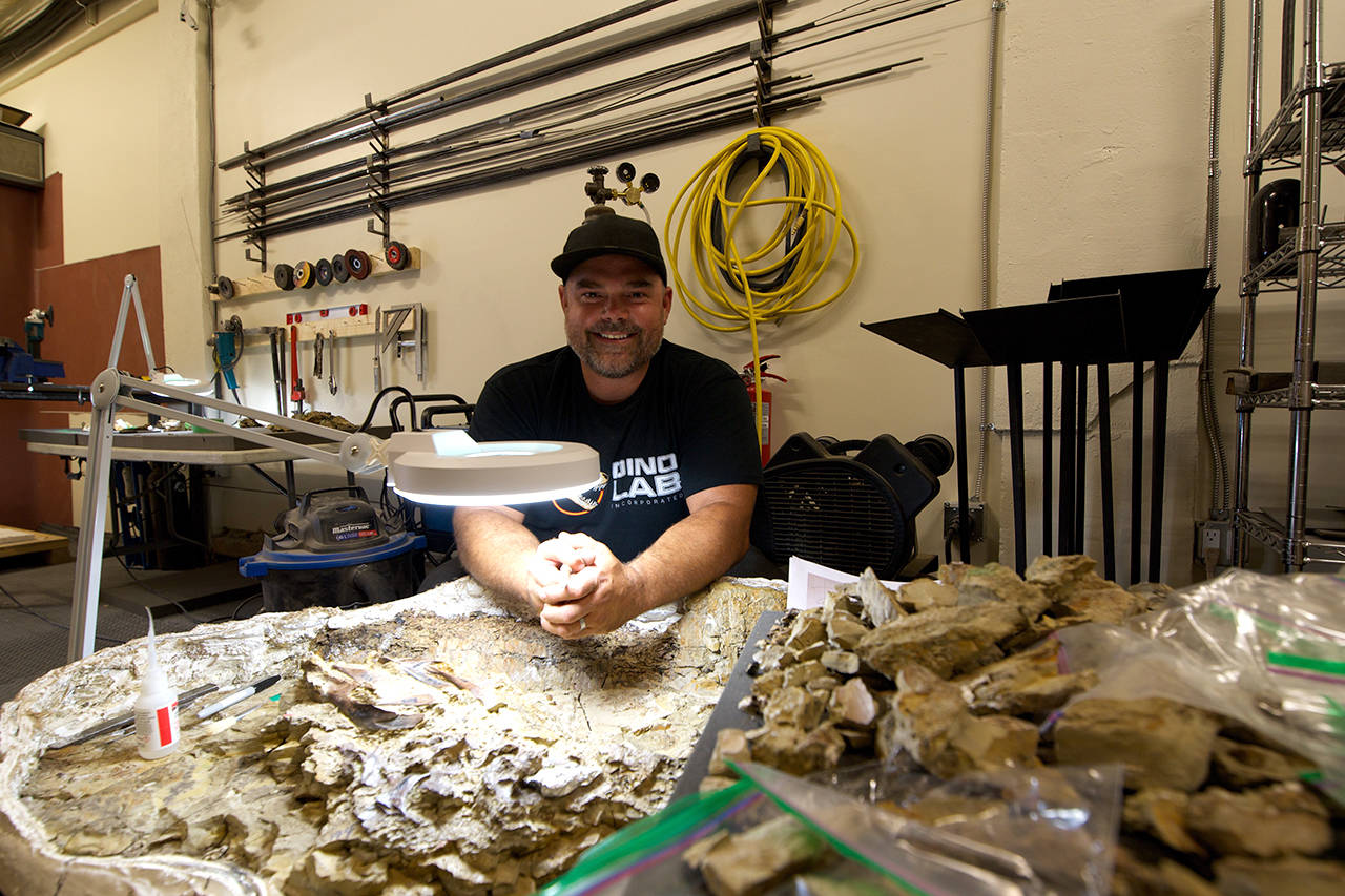Ry Williams extracts dinosaur fossils at Victoria’s Dino Lab. He also works as a welder to help build displays for the fossils. (Nicole Crescenzi/News Staff)