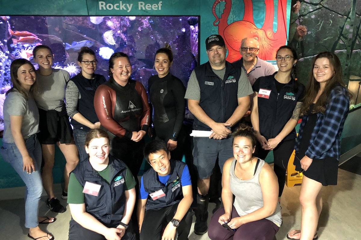 The group of volunteers with Aquarists Amanda, Christina and Kit. Also pictured is Systems Technician Hugues. The 70 fish were released next to Sidney Pier. (Submission from Bob Orchard)