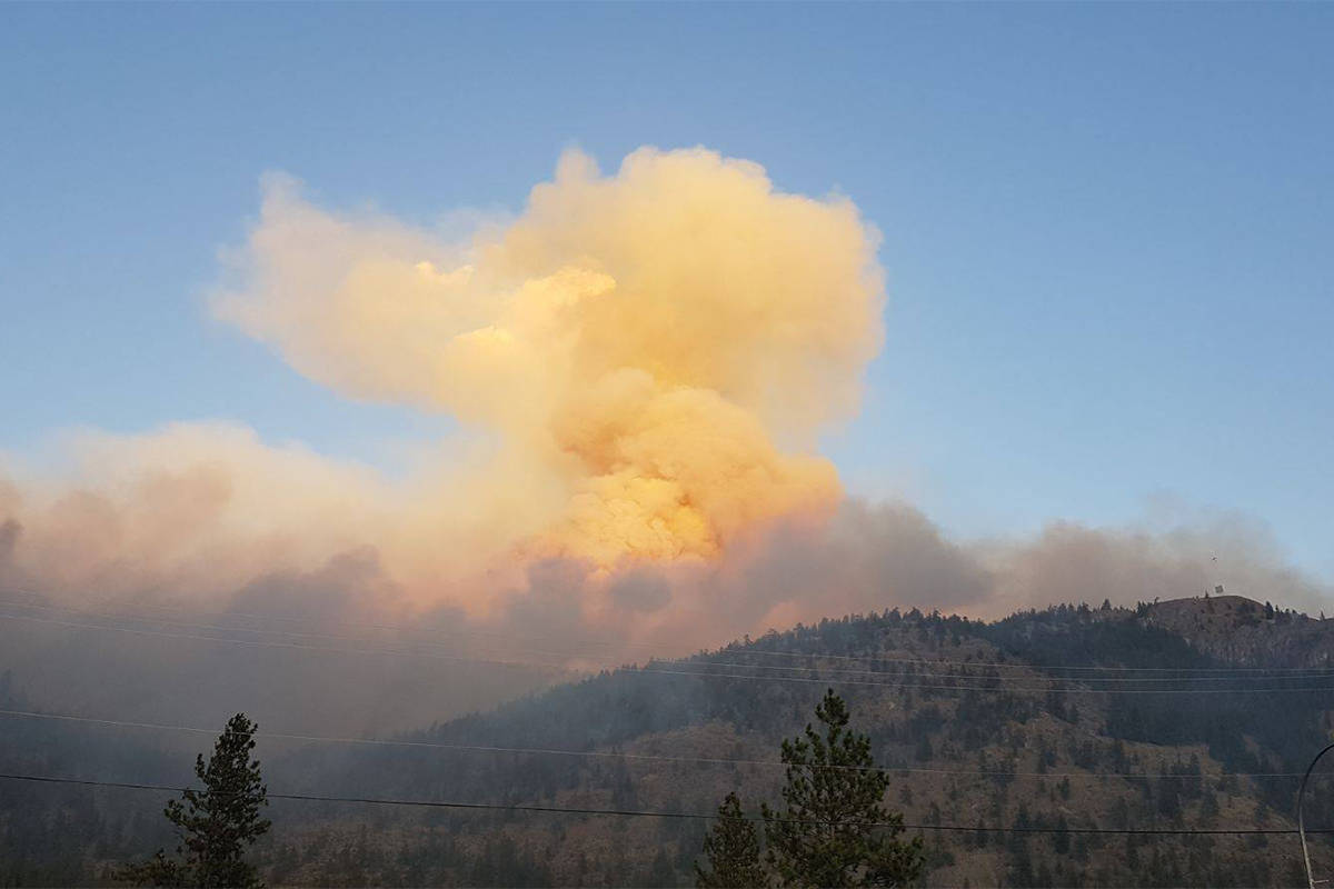 The Eagle Bluff Wildfire to the north of Oliver, B.C. is estimated to have grown to 600 hectares as of Tuesday night. (B.C. Wildfire Services)