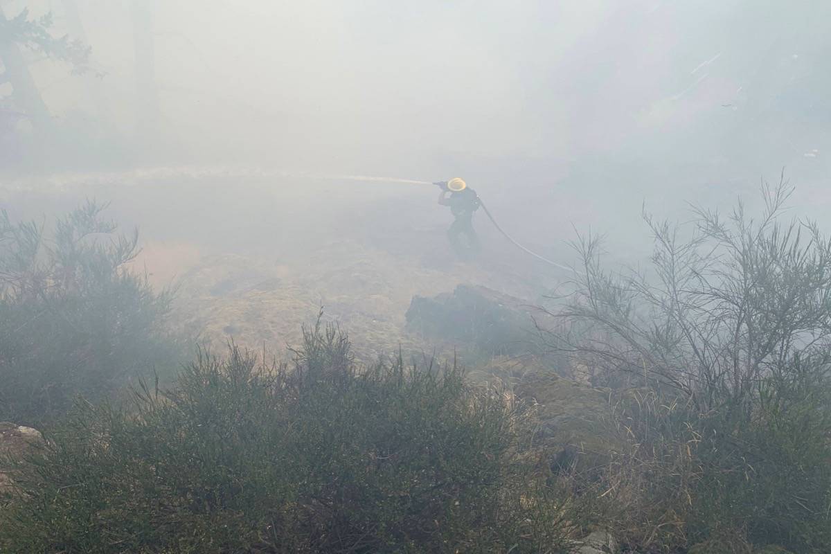 UPDATE: East Sooke brush fire ‘was just dense, white smoke,’ says resident