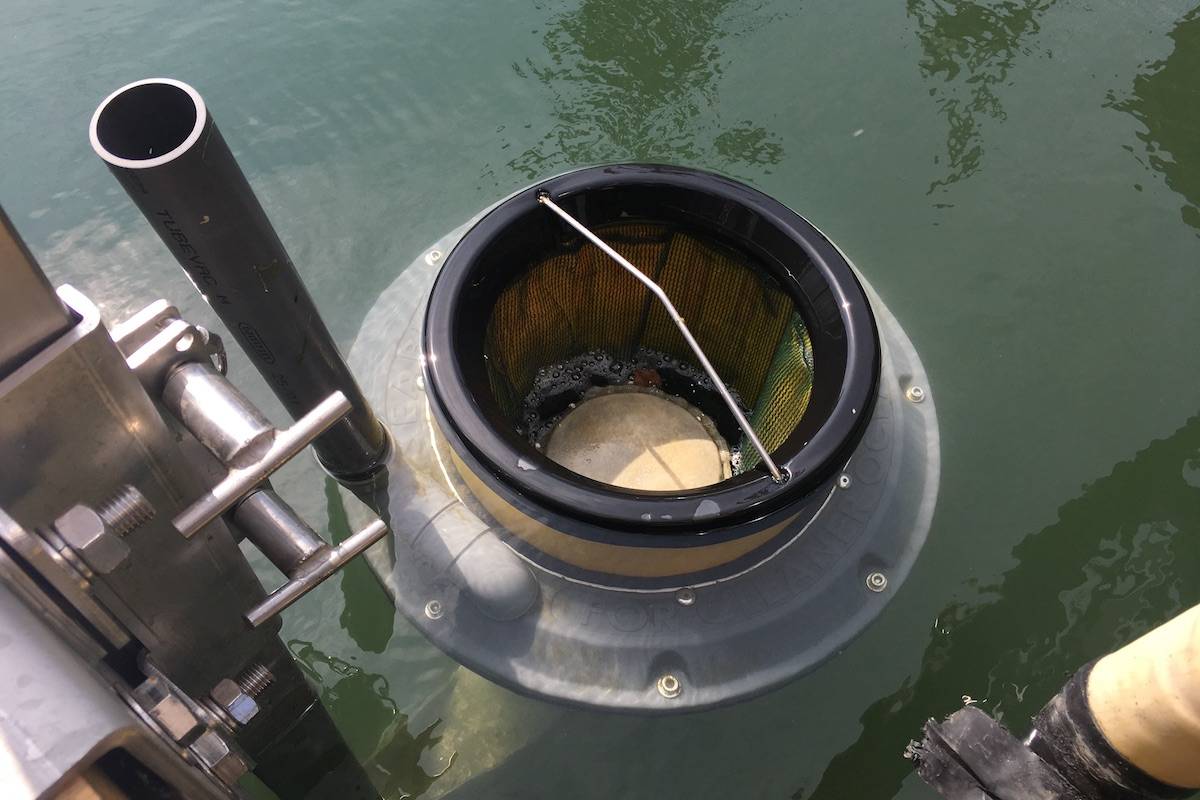 The Seabin in action, sucking in small pieces of plastic and polystyrene. (Nick Murray/News Staff)