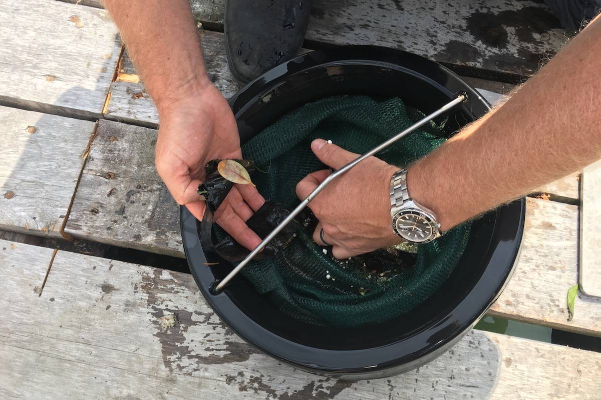 Jeff McKay showing how small pieces of plastic can often be overlooked but are a big danger to marine animals and fish. (Nick Murray/News Staff)