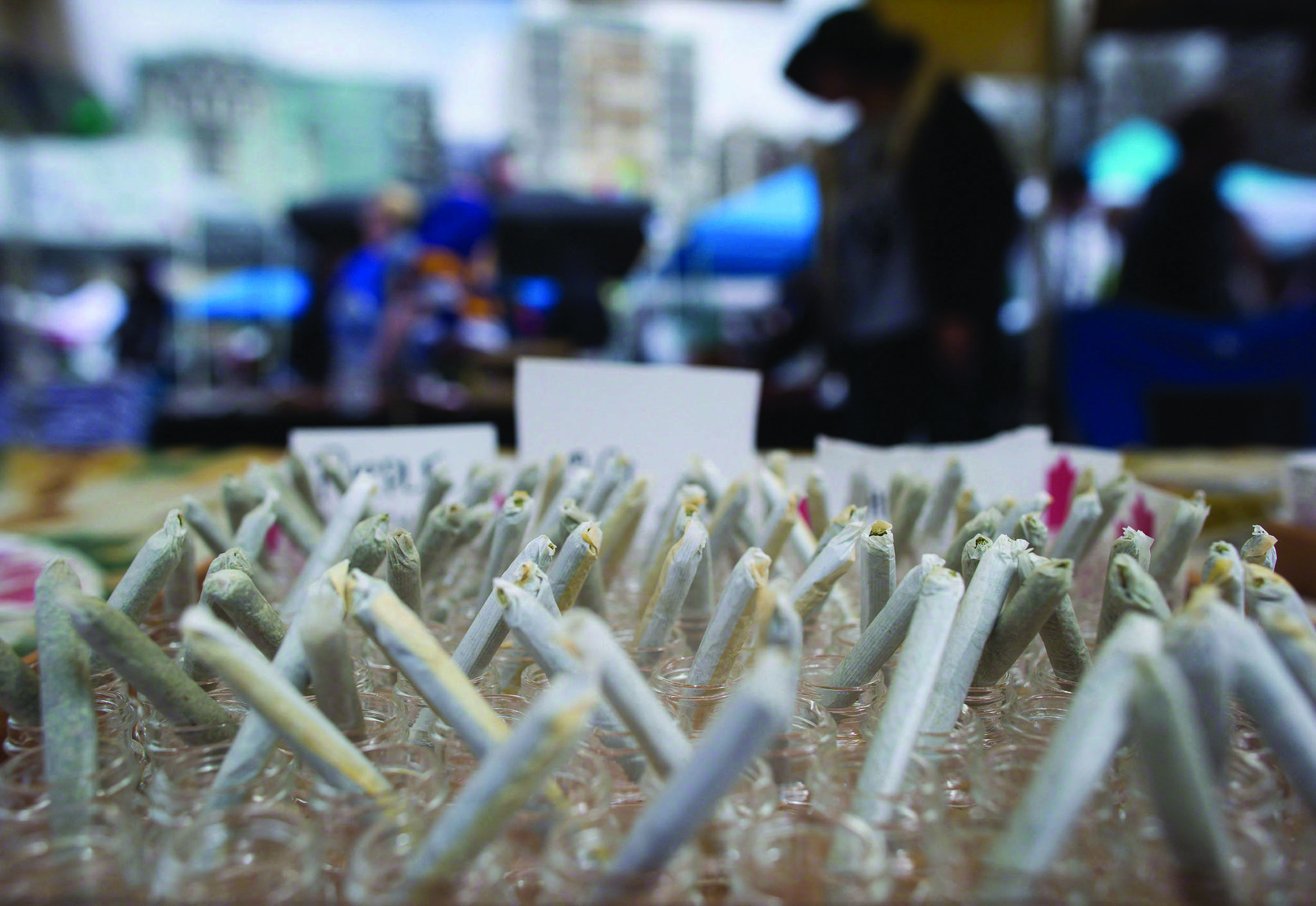 Weeding out the competition: Grand Forks to host cannabis contest at fall fair