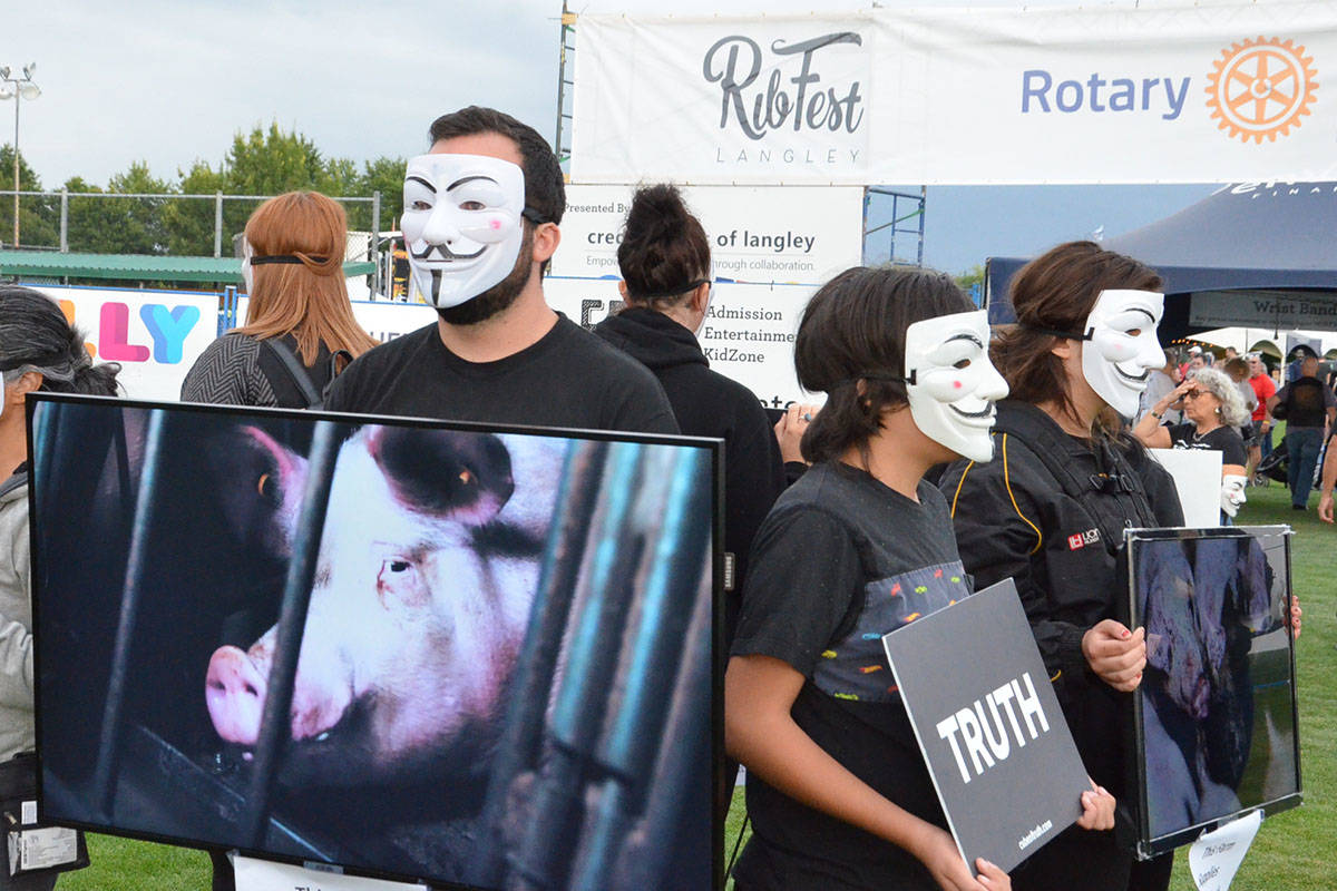 The group Cube of Truth held a silent multi-media protest at the Langley Ribfest on Friday evening. (Heather Colpitts/Langley Advance Times)