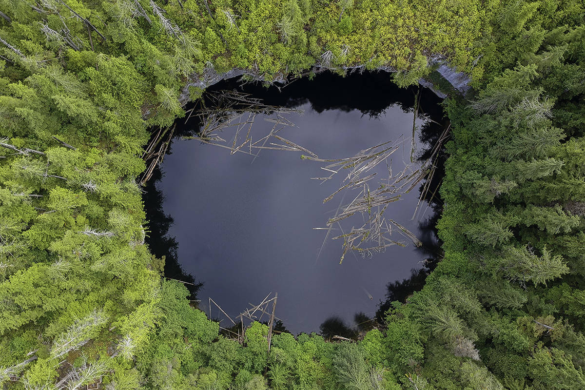 PORT ALICE PHOTOGRAPHY, IMAGES BY DOUGLAS BRADSHAW                                Check out Devils Bath and the many other scenic sites along the Alice Lake Loop route.​