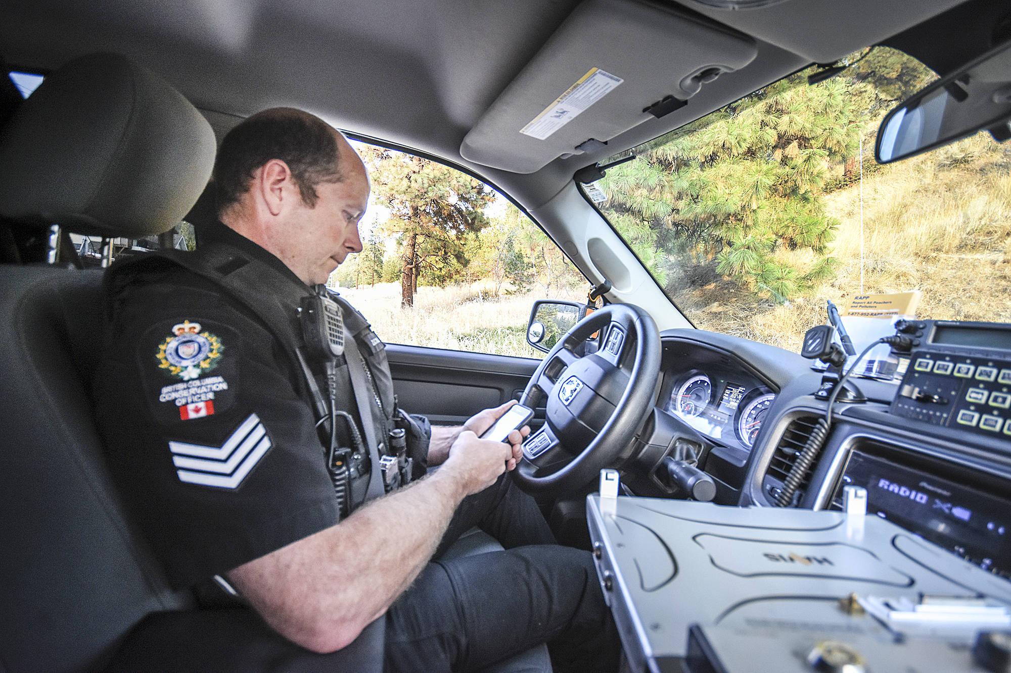 Checking GPS settings of a property with a full fruit tree in close proximity to bear habitat, Sgt. James Zucchelli of the B.C. Conservation Officer Service and other officers are cracking down on people not following wildlife attractant protocol, so bears don’t have to die. (Mark Brett - Western News)