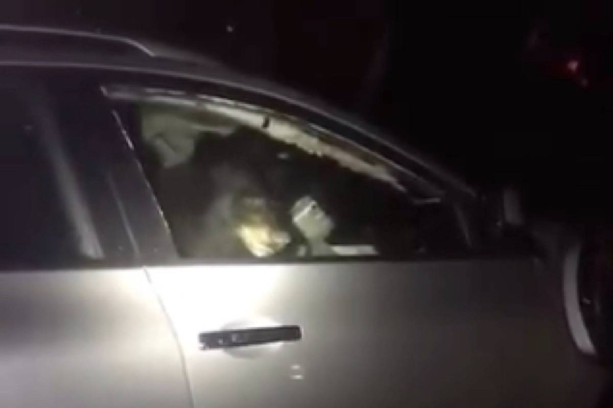 A black bear was locked inside a vehicle on Sept. 13 in Port Moody until police and conservation officers responded. (Port Moody Police)