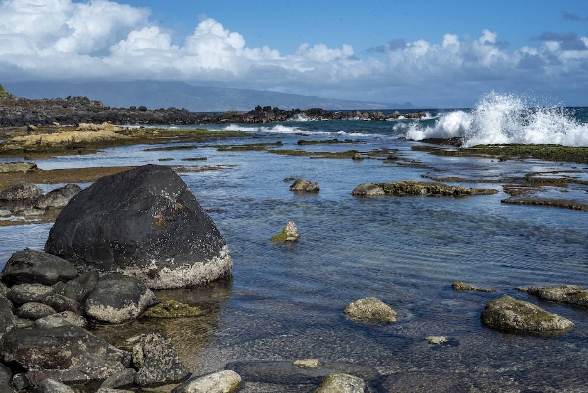 An image of basalt rocks – 90 per cent of the earth’s basalt is found on ocean floors. (Stock image)