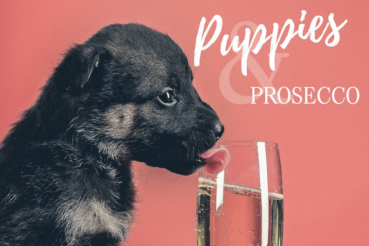 Enrico Wineries is hosting a ‘Puppies and Prosecco’ event to help fundraise for the Victoria Humane Society and Peaches for Pets (Facebook/ Enrico Winery)
